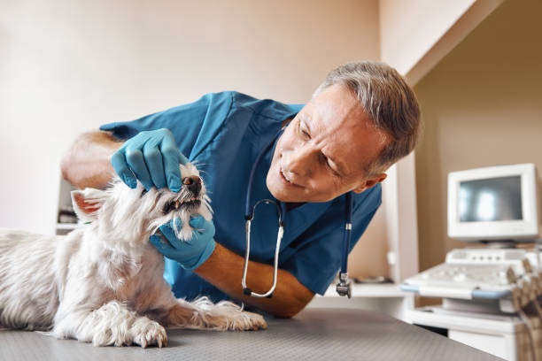 Best Mobile Emergency Dentist in Weatherford, TX