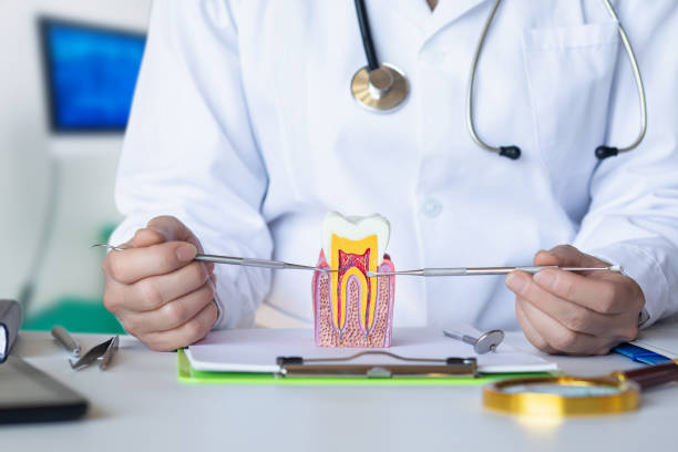 Best Emergency Dental Care for Abscessed Tooth in Weatherford, TX